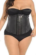 Plus Size Curvy Girl Waist Trainer 2 Rows - Pretty Girl Curves Waist Trainers & Shapewear